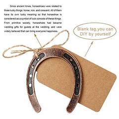 30PCS Good Lucky Horseshoe Wedding Favors for Guests, Vintage Craft Metal
