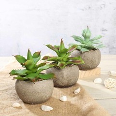 Green 3 Assorted 5″ Faux Home Garden Aloe Succulent Plants Round Pots Sale