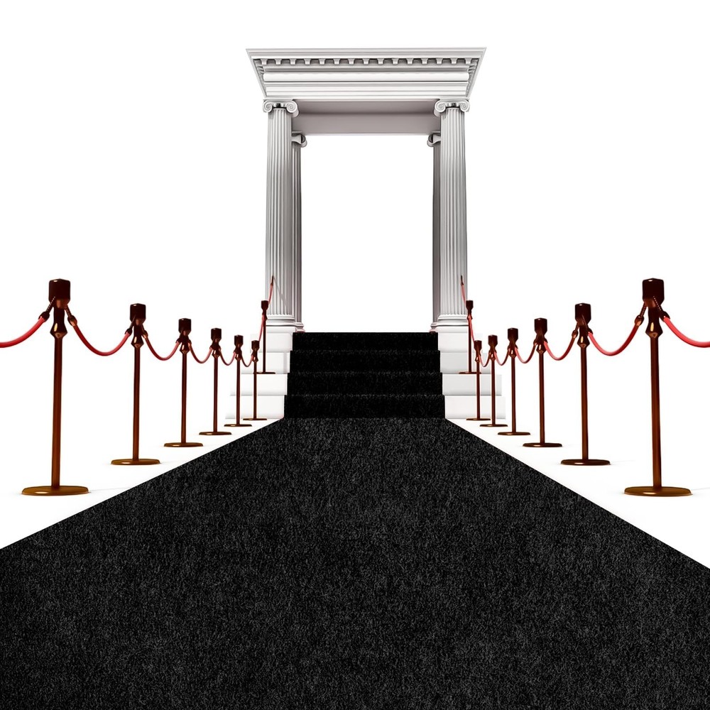450 GSM Extra Thick Waterproof Black Carpet Runner for Events Decorations, 3X…