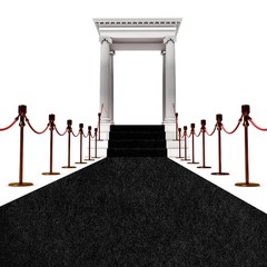450 GSM Extra Thick Waterproof Black Carpet Runner for Events Decorations, 3X…