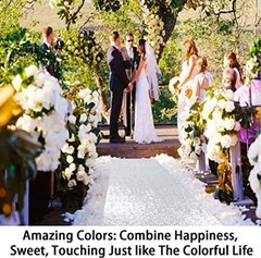 4Ft x 20Ft Silver Sparkly Wedding Aisle Runner – Ideal for Prom, Beach &