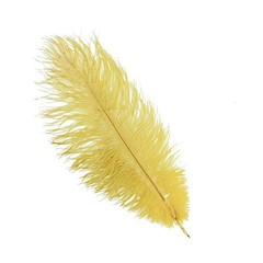 12 pcs 13-15″ long Gold Genuine Ostrich FEATHERS Wedding Party Centerpieces