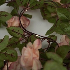 BLUSH 7 ft LED Roses Leaves Garland Battery Operated FAIRY LIGHTS Party Supplies