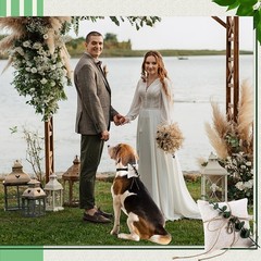 5» x 5» Dog Ring Bearer Wedding Pillows with Ring Clasp Off for Dog Collar …