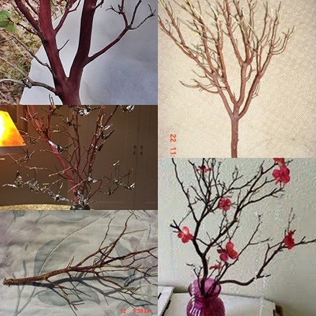 6 Fresh-Cut RED Manzanita Branches for Vertical Centerpieces *SIX!* 20″-24″