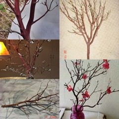 6 Fresh-Cut RED Manzanita Branches for Vertical Centerpieces *SIX!* 20″-24″
