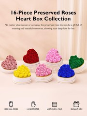 Eterfield 16 Forever Flowers in Heart Shape Box, Preserved 16 Roses, Red