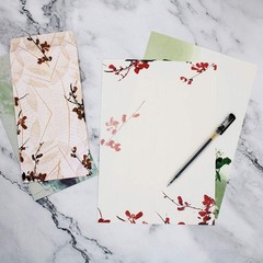 Stationery Paper and Envelopes Set,60PCS Stationary Set(40 60 PC, vintage