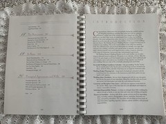 2000 Working Woman’s Wedding Planner Spiral Binder