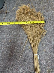 Dried Babys Breath (Dried Gypsophila) Reddish Brown Color