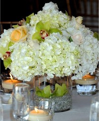 WGVI Cylinder Vase 4×4″ Clear Glass 6pc Floral Container
