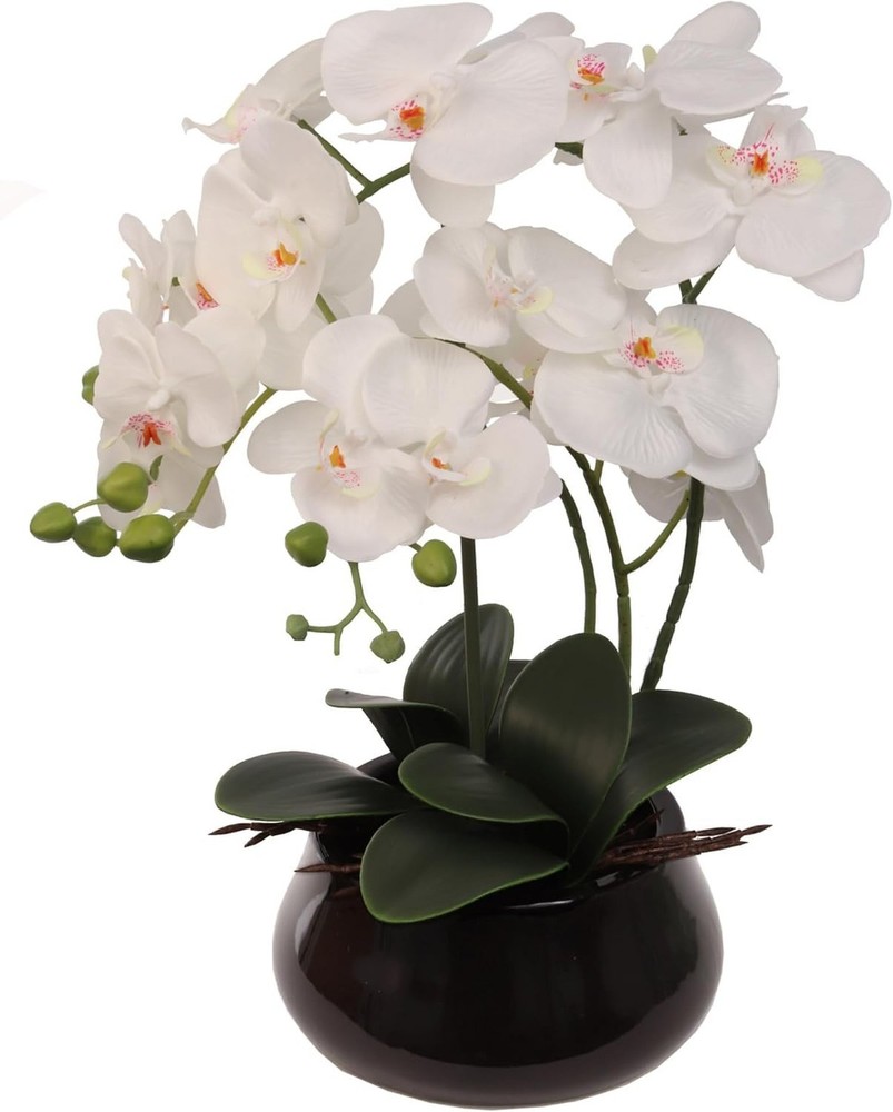 Larksilk 8-Pack Bulk White Artificial Orchids in Pots ? Silk Phalaenopsis Flo…