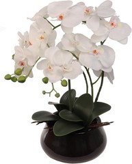 Larksilk 8-Pack Bulk White Artificial Orchids in Pots ? Silk Phalaenopsis Flo…
