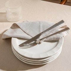 Stone Lain Oasis Stoneware Plate Dish Set 4-Piece Dinner Plates – Ceramic