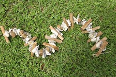 DIY Natural Beach Wedding Decor Driftwood Oyster Shells Garland, 33″+ G-83