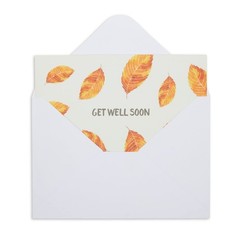 Best Paper Greetings Get Well Cards Assortment Box – 48 Pack, 4×6 Inch, 12 Fl…