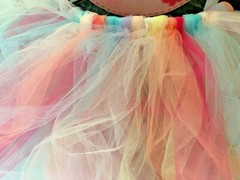 Brand New Tulle Roll 6″x25Yards over 20 colors $1.50 if buy 4+