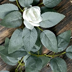 100 Frosted Green Bulk Artificial Rose Leaves Faux Greenery Party Decorations