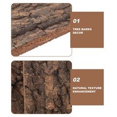 4 Pcs Natural Bark Decoration Wood Pieces Terrarium Tree Carving for Crafts