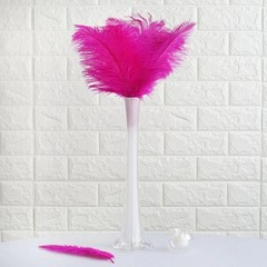 12 pcs 13-15″ long Fuchsia Genuine Ostrich FEATHERS Wedding Party Centerpieces