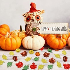 Jangostor 200 PCS Acrylic Leaves Mini Pumpkins Acorns Maple Leaves – Acrylic