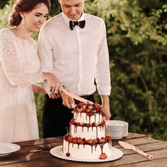 Homi Styles Wedding Cake Knife and Server Set | Rose Gold Color Premium 420 S…