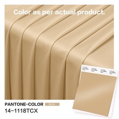Party Village 4 Panels 5ftx30ft Champagne 60″W x 360″L (Pack of 4),