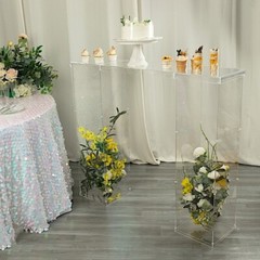 46×12 in Clear Plexiglass Connector Plate for Rectangular Pedestal STANDS Party