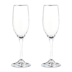 Champagne Flutes Set of 2 Elegant Wedding Toasting Glasses Party Drinkware Clear