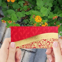PARTH IMPEX Shagun Gift Envelope 7.5″ x 3.5″ Inches, Assorted Color & Design