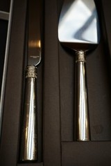 Vera Wang & Wedgwood Cake Knife and Sever Set *Stainless Steel * Infinite Love