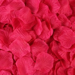 1000 PC Hot Pink Flower Petals for Decorations Romantic Decorations Silk US SHIP