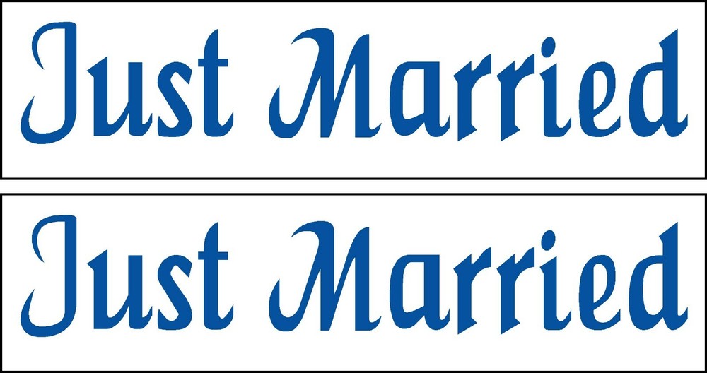 Just Married Magnets Vehicle Car Wedding Signs 4 X 16