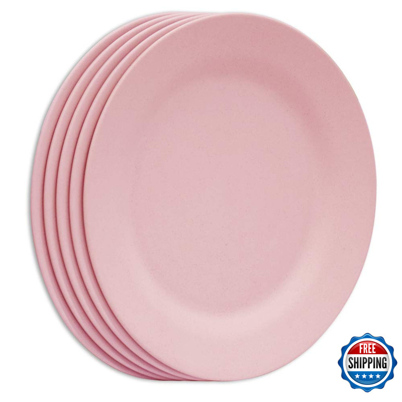 Snomel 11 Inch Dinner Plate Set Extra Large Pasta Plates Unbreakable Dishes
