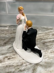 Weddingstar Wedding Cake Topper Bride And Groom A Cinderella Moment