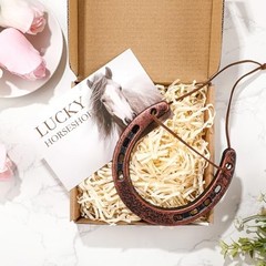VioraWhite Good Lucky Horseshoe Decor Gift Sets with Card Rope New Home
