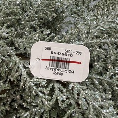 POTTERY BARN SNOWY WREATH HOLIDAY PLATE CHARGERS – SET OF 4 GREEN 16″ DIAM