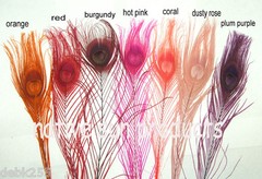 25 Peacock Feathers w/ Eyes 30-35″ L Bleached & dyed Your choice of 21 colors