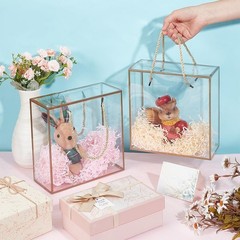 10 Packs Clear PET Plastic Gift Box 7.8×7.8×3.5 Inch Treat Gift Boxes W/ Gold
