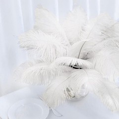 12 pcs 13-15″ long Ivory Genuine Ostrich FEATHERS Wedding Party Centerpieces