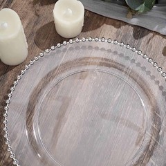 CLEAR SILVER 10 Round 10″ Plastic Salad PLATES Beaded Rim Party Events