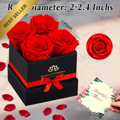 Real Preserved Red Roses in a Box Gift for Birthday Anniversary Valentines Day