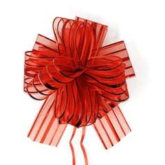 Allgala 12-pc 6 Inch Large Everyday Pull Bows-Red-GP92003