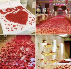 CODE FLORIST 2200 PCS Dark-Red Silk Rose Petals Wedding Flower Decoration