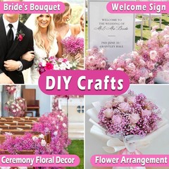 9000+ Bloom Pink Dried Babys Breath Flowers 150 Stems – Bulk Gypsophila