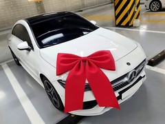 ITALY DESIGNER WEDDING CAR DECO – PETIT KINGWANGZZANG BIG GIANT SIZE RIBBON
