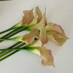 EUC REAL TOUCH CREAM/PINK CALLA LILY FLOWER – 8 STEMS 19” Tall