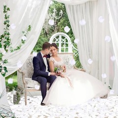 Versatile 3000 PCS White Silk Rose Petals for Weddings, Anniversaries, & Parties