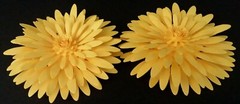 Paper Flowers Wedding Party Nursery Wall Decor Shower Yellow Daisy 2 Pieces