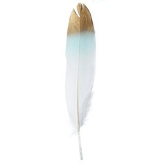 60 MINT GREEN WHITE with Metallic Gold Tip Natural Goose Feathers Decorations